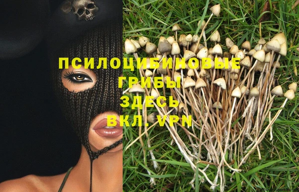 мет Алексеевка