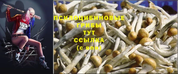 герыч Алзамай