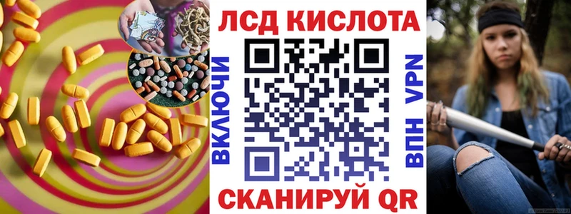 дарнет шоп  Гдов  Лсд 25 экстази кислота 
