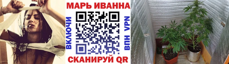 Бошки Шишки VHQ  Гдов 